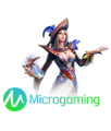 Microgaming